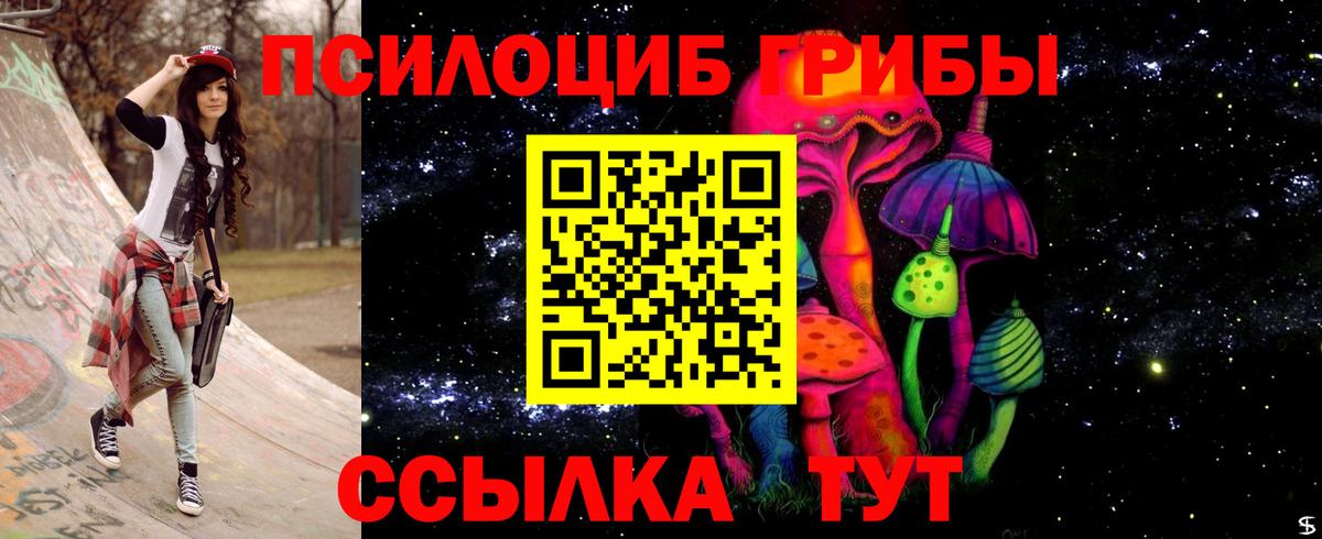 Псилоцибиновые грибы Psilocybine cubensis Мариинск